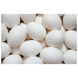 Huevos Frescos de Gallina Blanca de Alta Calidad, Huevos de Granja con Cáscara Natural, Ideales para Hornear, Cocinar y Dietas Saludables - Product Image 4