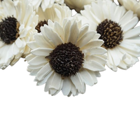 Sola Wood Flower diffuseur de roseau Parfum d'ambiance Fait à la main Sola Flower Echo Friendly Sola Flower Natural to aérer Freshen Reed