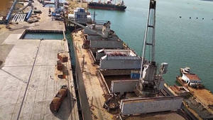 Copeaux de bois de qualité supérieure du Vietnam, matériau combustible naturel pour le barbecue, le fumage, l'énergie et l'usage industriel |   Mme Lily Ngo - Product Image 6