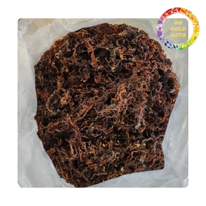 Musgo Marino Natural de Alta Calidad, Materia Prima para Aplicaciones Alimentarias y de Salud - Product Image 6