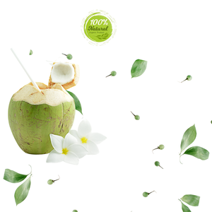 Dulzura Pura, Coco Fresco Vietnamita, Alimento Natural Premium para la Salud, 12-13 cm, Producto Agrícola - Product Image 2