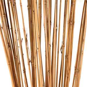 Bâtons de bambou 100% naturels, SUPPORT pour plantes et jardin du vietnam, prix le meilleur prix - Product Image 6