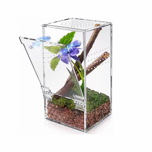 Boîte <span class=keywords><strong>d</strong></span>'<span class=keywords><strong>observation</strong></span> <span class=keywords><strong>d</strong></span>'<span class=keywords><strong>insectes</strong></span> en acrylique haute transparence pour chrysalides de papillons, qualité export, clarté optique supérieure - Product Image 1