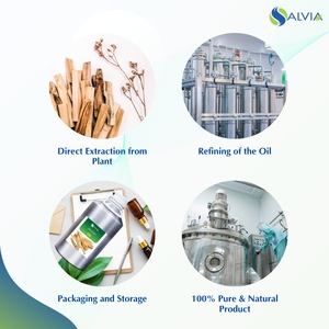 Palo Santo Oil 100% pur et naturel en gros en vrac prix le plus bas emballage personnalisé - Product Image 4