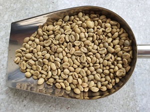 Grains de café arabes et robusta verts brésiliens de haute qualité | Grains de café torréfiés/grains de café arabica éthiopien - Product Image 5