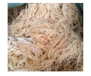 มอสทะเลแห้งจากธรรมชาติมอสจากเวียดนาม - Product Image 3