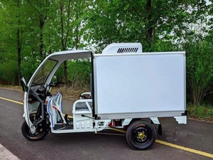 Refrgerated Tricycle Reefer with <b>Cooler</b> <b>Box</b> - Product Image 2