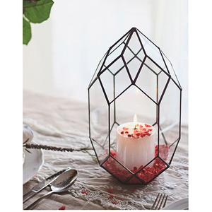 Nouveau prix de gros Tor exclusif moderne verre clair avec finition dorée décor végétal terrarium bureau de table décorer - Product Image 5