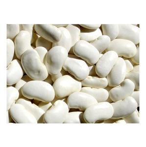 Proveedor Mayorista De Stock Fresco A Granel De Frijoles Blancos Secos Orgánicos - Product Image 4