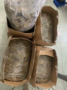 Hojas de Guanábana secas naturales 100% de alta calidad originadas en Vietnam con precio competitivo - Product Image 3