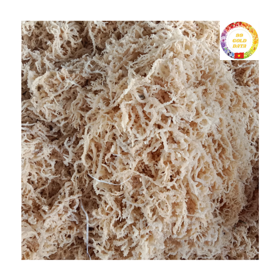 Сушеные водоросли Eucheuma Cottonii 100 процентов натуральный органический морской мох растительный ингредиент здоровой пищи и напитков