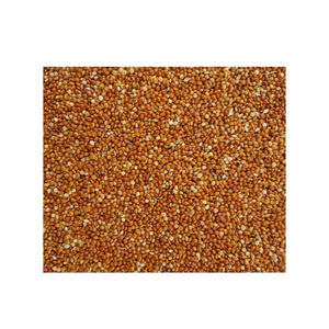 Millet jaune torréfié biologique en vrac pour les commandes de gros volumes et l'exportation - Product Image 3