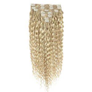 คลิปต่อผมเวอร์จินมาเลเซีย 8 นิ้ว แบบยาคิตรง สีบลอนด์ผสมสีเทา - Product Image 1