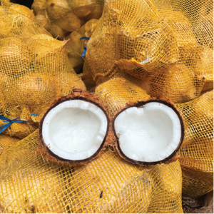 มะพร้าวแห้งจากเวียดนามปริมาณการใช้พลังงานต่ำสไตล์อินทรีย์เขตร้อนโภชนาการหวานผู้ใหญ่ - Product Image 6