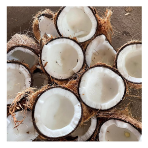 Coco semi descascarillado para comidas deliciosas, carne dulce de coco maduro fresco Ideal para dulces, Coco maduro de suministro de Vietnam - Product Image 1