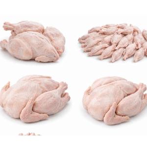 Fournisseur de poulet congelé entier de qualité supérieure pour l'exportation - Product Image 1