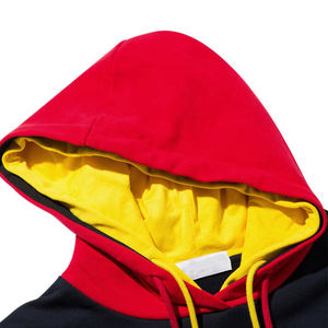 Sudaderas con capucha de los hombres Logotipo personalizado de alta calidad 500 GSM Grueso de peso pesado de algodón de lana Streetwear Heavy - Product Image 3