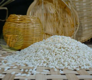 Vietnam melhor fornecedor arroz glutinoso 5% quebrado 25kg ou 50kg saco de arroz boa qualidade baixo preço SGSLAP Vietgap Global Gap