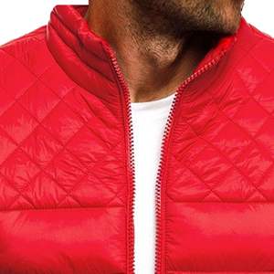 Chaqueta acolchada con logotipo personalizado de la mejor calidad, estilo de invierno con cuello levantado, precio al por mayor, tela de lona, diseño impreso avanzado - Product Image 2