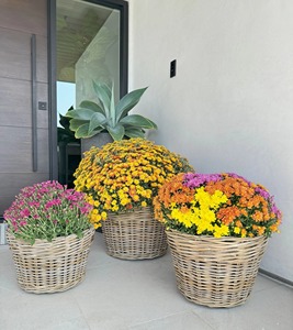 Rattan <b>baskets</b> are suitable <b>for</b> holding <b>plants</b> Handmade Storage <b>Basket</b> Wholesale eco-friendly Made in Viet Nam - Product Image 5