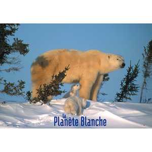 Póster Moderno del Planeta Blanco para Decoración de Pared - Product Image 1