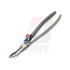 Extraction dentaire #31 Extraction Forcep 4mm Dentelé Mâchoire Largeur Instruments Chirurgicaux En Acier Inoxydable - Product Image 6