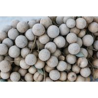 Vietnam Fabrikant Export Beste Kwaliteit Grote Verkoop Bevroren Longan 1Kg