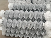 Clôture en treillis métallique galvanisé à chaud, rouleau de clôture en mailles de chaîne de 8 pieds, clôture en mailles de chaîne en PVC pour les Philippines