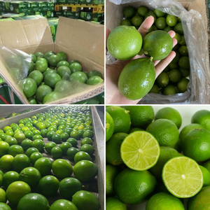 PREMIUM BULK FROZEN <b>LIME</b> DIRECT FROM FARM VIETNAM EXPORTER SUPPLY - Product Image 4