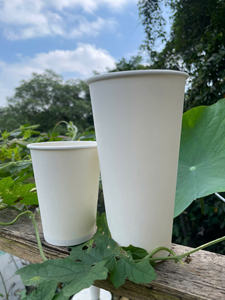 Vaso Desechable Compostable de Papel PE de Pared Simple con Diseño Elegante GREEN NEST, Impresión de Logotipo Personalizado, Ecológico, para Café y Té - Product Image 3