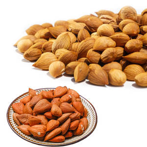 Nettoyez les noyaux amers d'abricot de finition pour la fabrication d'huile essentielle dans des produits d'agriculture - Product Image 6