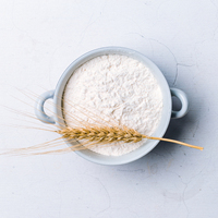 Farine de blé biologique premium multi-usages riche en protéines (12 %) 25 kg pour la production industrielle de boulangerie avec une forte capacité de formation de pâte