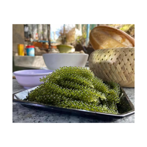 Uvas de Mar Secas Caulerpa Lentillifera para Procesamiento de Alimentos, Uso Culinario, Suministro a Granel - Product Image 1