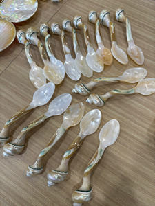 Matériaux écologiques du Vietnam : Cuillère en coquillage naturel, accessoire décoratif artisanal pour l'aménagement intérieur et les marchés internationaux - Product Image 3