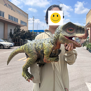Disfraz <span class=keywords><strong>de</strong></span> marioneta <span class=keywords><strong>de</strong></span> mano <span class=keywords><strong>de</strong></span> dinosaurio controlado a mano humano Animatronic realista para Parque <span class=keywords><strong>de</strong></span> Atracciones centro comercial parque <span class=keywords><strong>de</strong></span> aventuras interior - Product Image 3