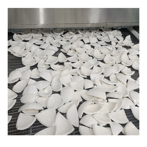 Precio barato Carne de coco joven congelada, Carne de coco congelada dulce congelada, Carne de coco congelada IQF a precio barato - Product Image 5