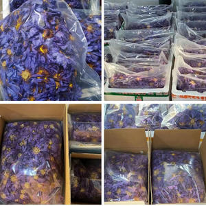 Sigarette Salutari all'Ingrosso a Prezzo <span class=keywords><strong>di</strong></span> Fabbrica, <span class=keywords><strong>Fiore</strong></span> <span class=keywords><strong>di</strong></span> <span class=keywords><strong>Loto</strong></span> <span class=keywords><strong>Blu</strong></span> Calmante, Erba Essiccata Nymphaea Caerulea - Product Image 5