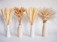 Rumput Pampas Alami DIY Rumput Pampas Dekorasi Asli Seri Rumput Bunga Kering Kantong Plastik Dekorasi Tahun Baru Imlek Paskah