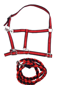 Cabestro RIDIT de Polipropileno, Totalmente Ajustable, Cómodo, Duradero, de Alta Calidad, con Correa a Juego, Color Amarillo y Rojo, para Carreras de Caballos, Uso Indio - Product Image 3