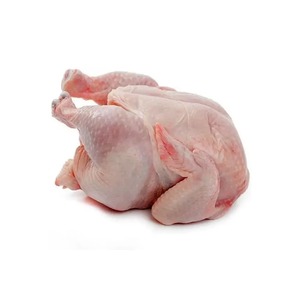 ไก่สดทั้งหมดแช่แข็งไก่ทั้งตัวได้รับการรับรองฮาลาล - Product Image 3