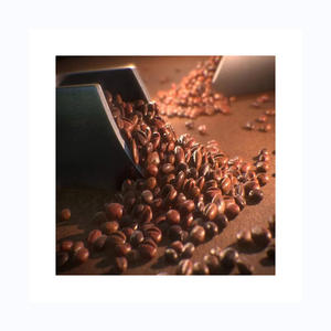 Empaquetado a granel de granos de café verde tostado de Arábica y Robusta directamente de granjas brasileñas - Product Image 2