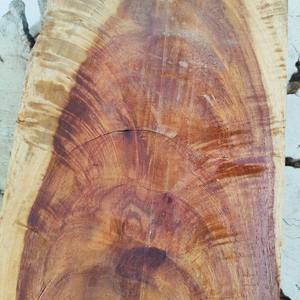 Madera Dura de Padauk de Birmania de Primera Calidad, Estándar Nacional, Madera Oscura para Muebles Personalizados de Hotel, Diseño Contemporáneo, 3 Años - Product Image 6