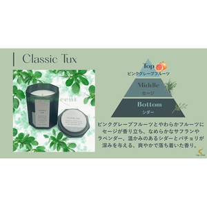 Classic Tux <b>Reed</b> <b>Diffuser</b> Elegant Use for Aromatic Purposes - Product Image 3