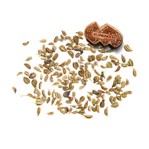 Aratic carom (ajwain) | ส่วนผสมสมุนไพรที่เชื่อถือได้ - Product Image 3