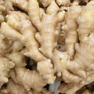 <b>Fresh</b> Vietnamese <b>Ginger</b> / Affordable Price, Top Quality for Cooking/ Ms. Jessi - Product Image 2