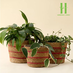 Producto caliente Seagrass Woven Flower Pot Decoración Habitación Variedad de macetas y jardineras de color Diseño OEM Personalizado Vietnam - Product Image 5