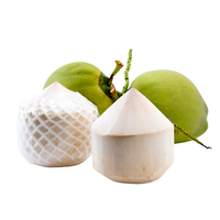 Los Cocos jóvenes frescos, con forma de diamante y superficie pulida, ofrecen un volumen de proteína que va de 250 a 300 ml por pieza