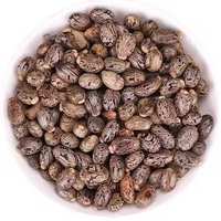 Huile de graines de ricin pressée à froid, extraction d'huile végétale et animale, huile de graines de ricin biologique de qualité supérieure, extraction d'huile de graines de ricin, pureté de 99%