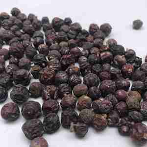 New season Organic natural dried juniper berries bulk supply premium quality wholesale private label packaging for international - Product Image 5
