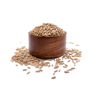 ข้าวไรย์สำหรับตลาดเบเกอรี่และอาหารสัตว์ - Product Image 6